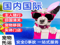 两江空运国际宠物托运 【国